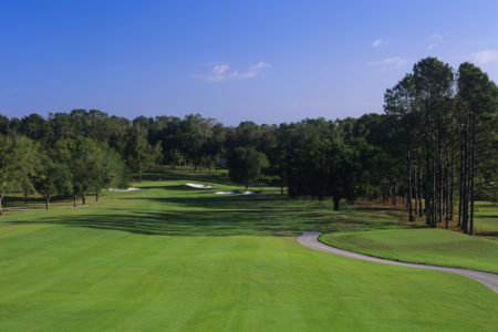 Ocala National Golf Club