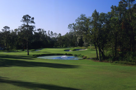 Ocala National Golf Club